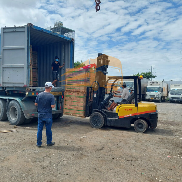 Ưu điểm nổi bật của chành xe Sài Gòn đi Quảng Trị