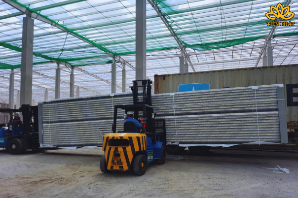 Dịch vụ đóng rút container tại Long An trọn gói