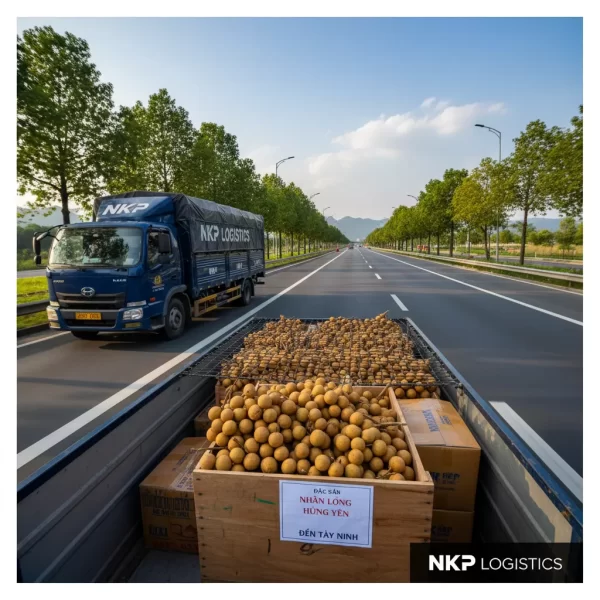 2. Đặc sản nhãn lồng Hưng Yên trên hành trình đến Tây Ninh.