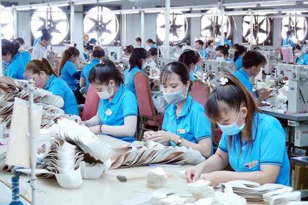 cung ứng lao đỗng long an