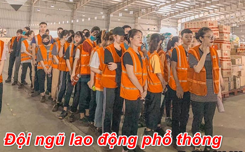 Cung Ứng Lao Động Đồng Nai | Công Ty Dịch Vụ Nhân Lực Uy Tín