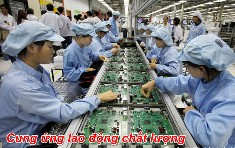 Ưu điểm khi sử dụng dịch vụ cung ứng lao động tại Đồng Nai